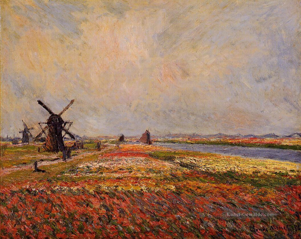 Felder von Blumen und Windmühlen in der Nähe von Leiden Claude Monet Szenerie Ölgemälde